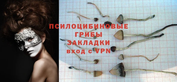 spice Алзамай