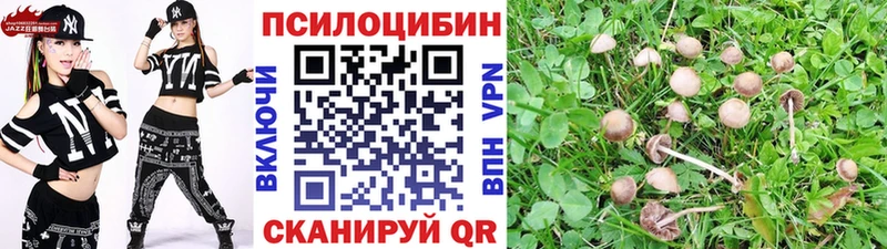 наркота  Грязовец  omg   Псилоцибиновые грибы мицелий 